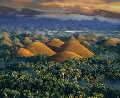 <span> Day 3 </span>Bohol INCLUDED : 1 Hotel 3 Activities