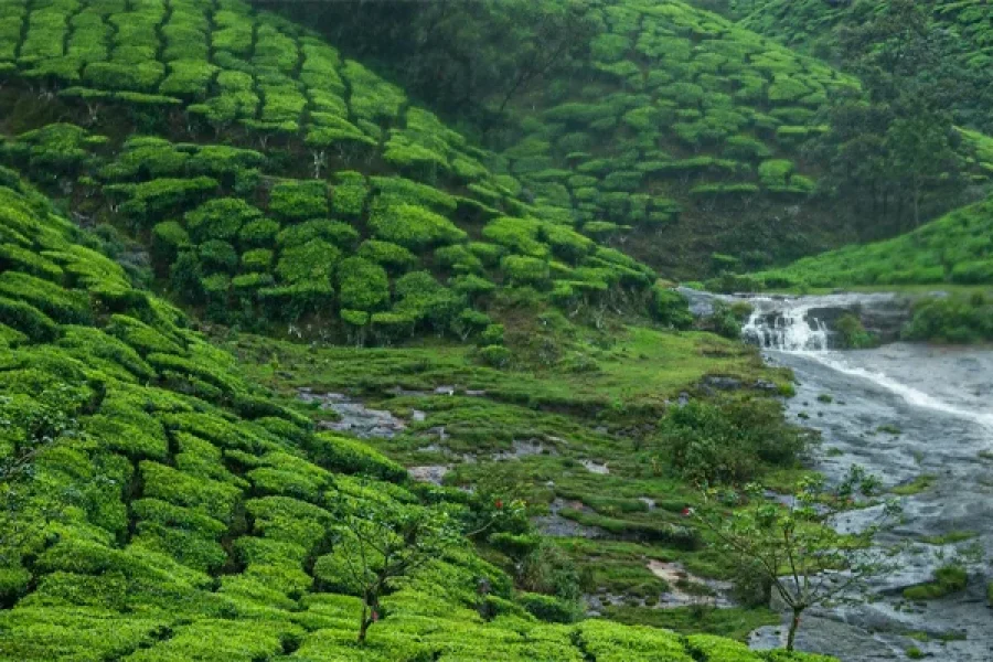 Discover Kerala: Waterfalls, Wildlife, and Timeless Heritage!