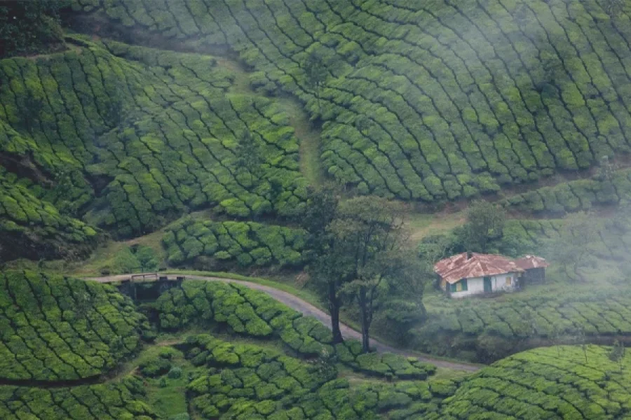 Experience Kerala’s Wonders: Majestic Waterfalls, Scenic Hills, and Tranquil Backwaters!
