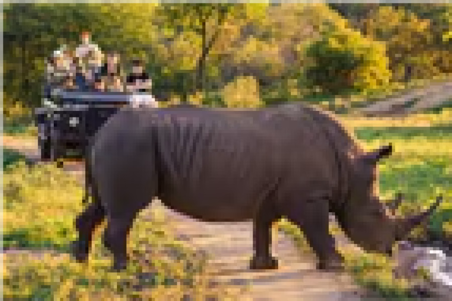 Tri-Wonders of Kenya