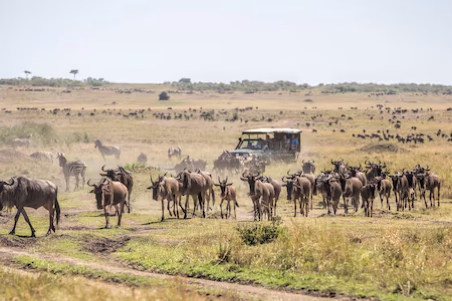 Kenyan Wonders-Mountains, Lakes & Coast