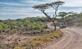 <span> Day 2 </span> Full Day in Maasai Mara