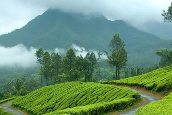 Kerala